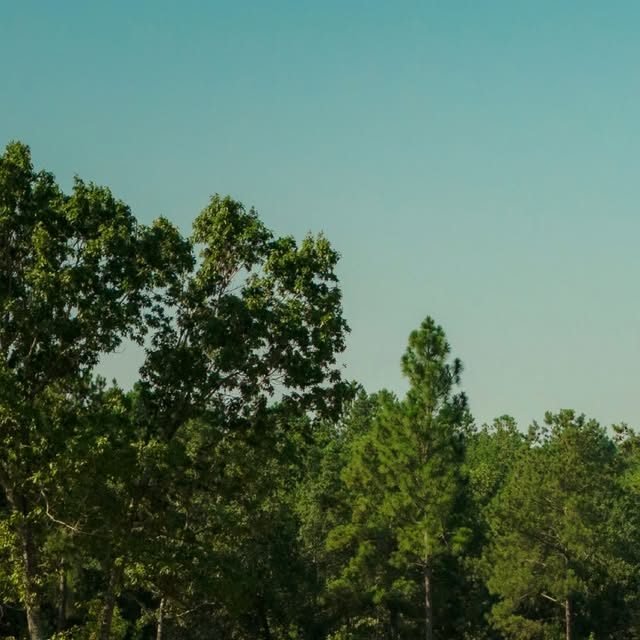 Approach into the par 4 16th hole